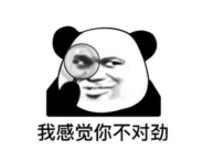 卵泡数量.png