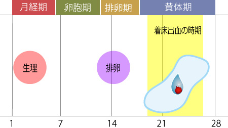 着床性出血的时间.jpg